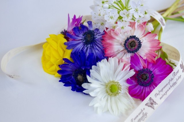 春の花束.jpg